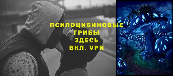 хмурый Краснослободск
