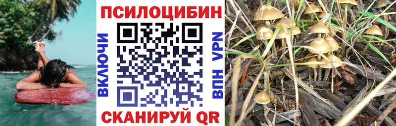 купить Медногорск Галлюциногенные грибы мухоморы