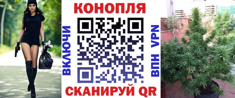 Марихуана сатива Медногорск